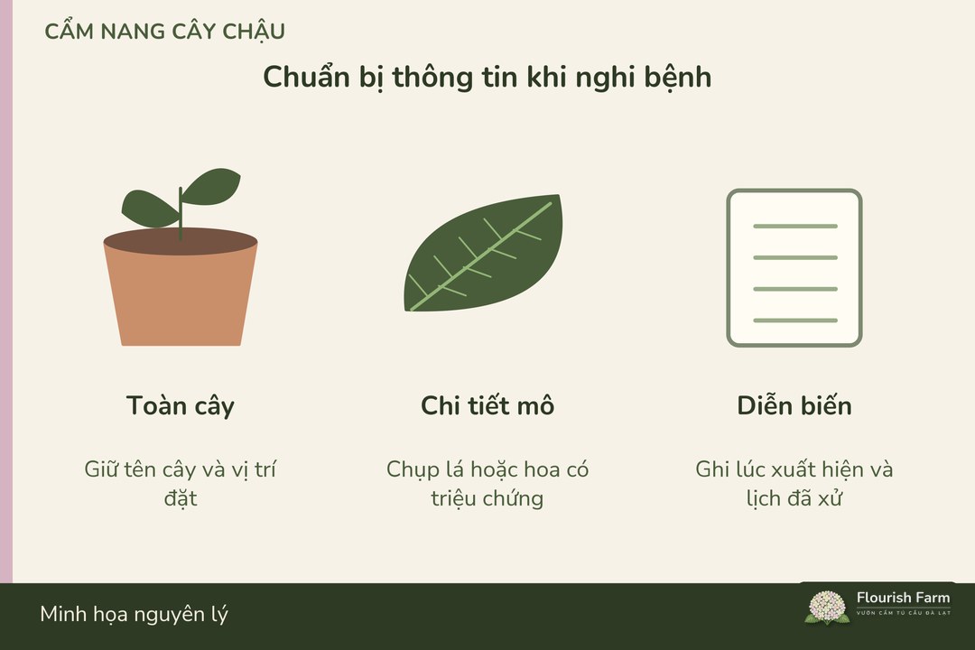 ảnh triệu chứng và lịch chăm giúp chuẩn bị thông tin hỏi chẩn đoán