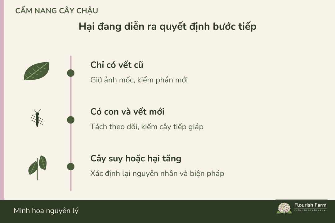 mức can thiệp dựa vào hại đang diễn ra và sức cây