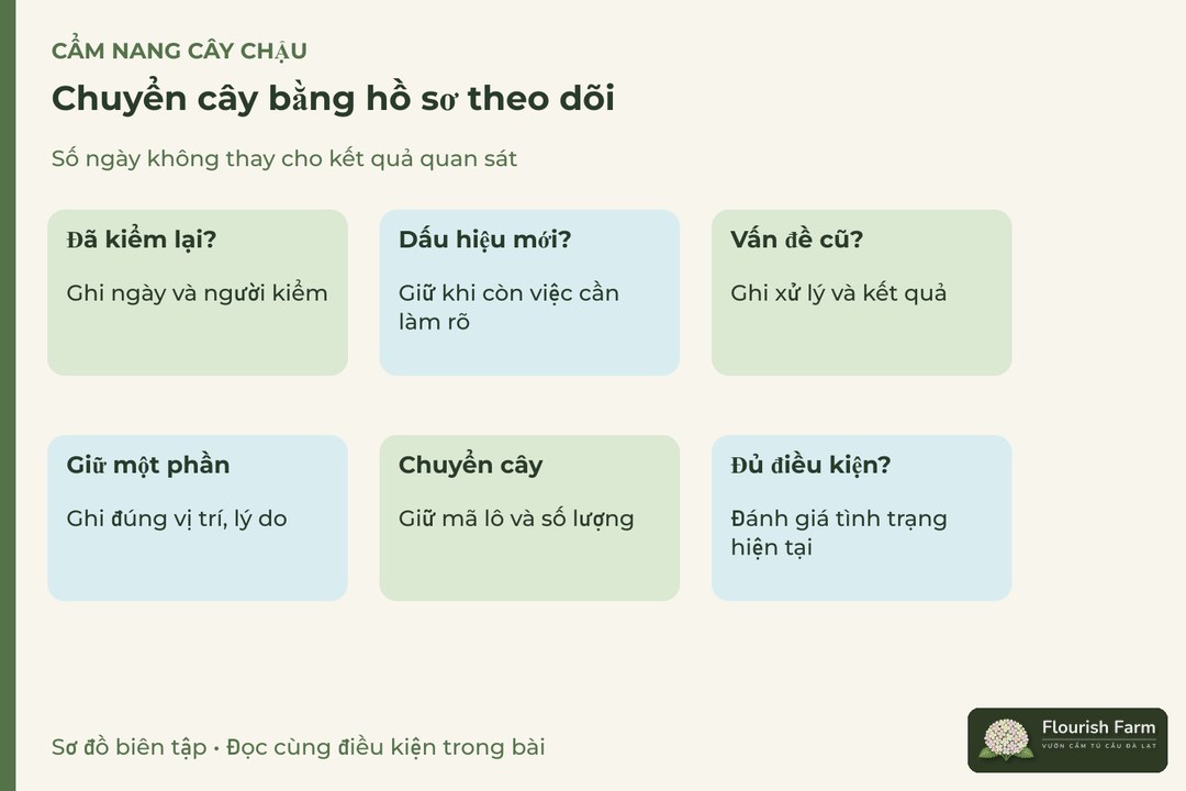 chuyển cây bằng hồ sơ theo dõi: Đã kiểm lại?, Dấu hiệu mới?, Vấn đề cũ?, Đủ điều kiện?, Chuyển cây, Giữ một phần