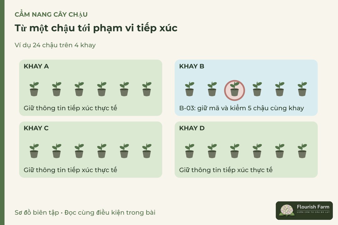 từ một chậu tới phạm vi tiếp xúc: B-03, Khay B, Tiếp xúc khác, Phạm vi tiếp
