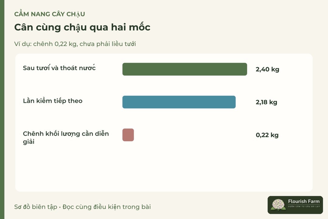 cân cùng chậu qua hai mốc: 2,40 kg, 2,18 kg, 0,22 kg