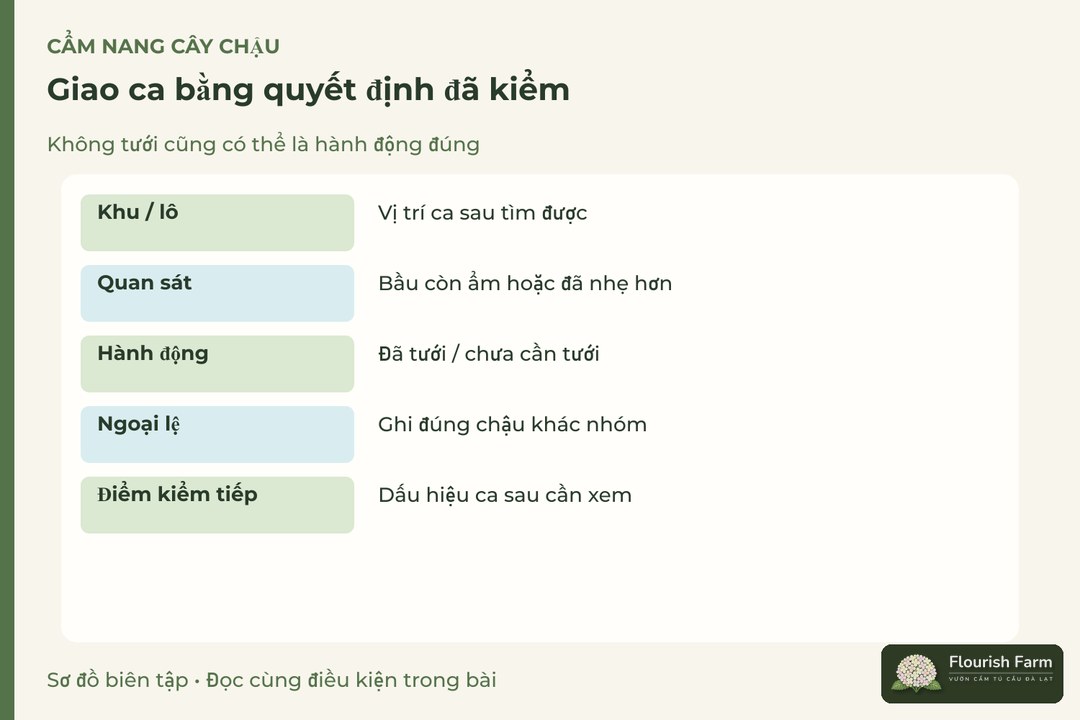 giao ca bằng quyết định đã kiểm: Khu / lô, Quan sát, Hành động, Ngoại lệ, Điểm kiểm tiếp