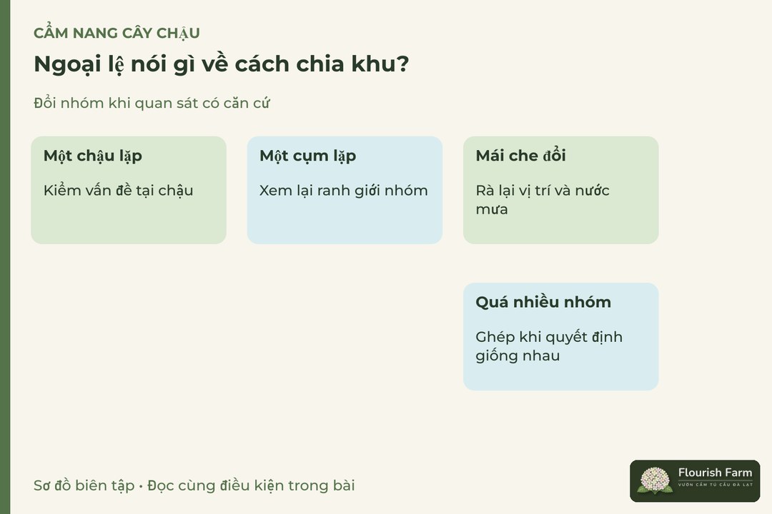 ngoại lệ nói gì về cách chia khu?: Một chậu lặp, Một cụm lặp, Mái che đổi, Quá nhiều nhóm