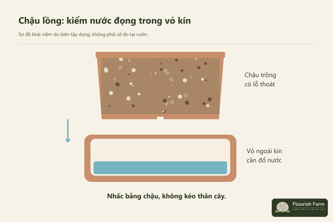 vỏ chậu kín phải được kiểm nước đọng sau tưới.