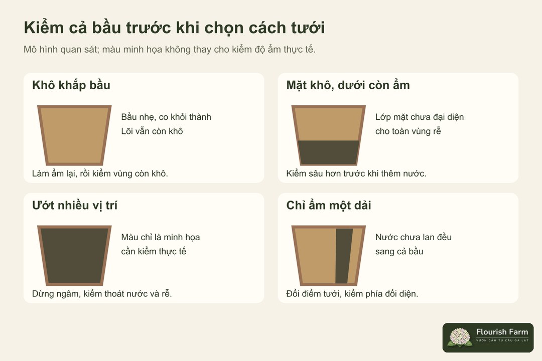 sơ đồ bốn trạng thái độ ẩm và bước kiểm tiếp theo