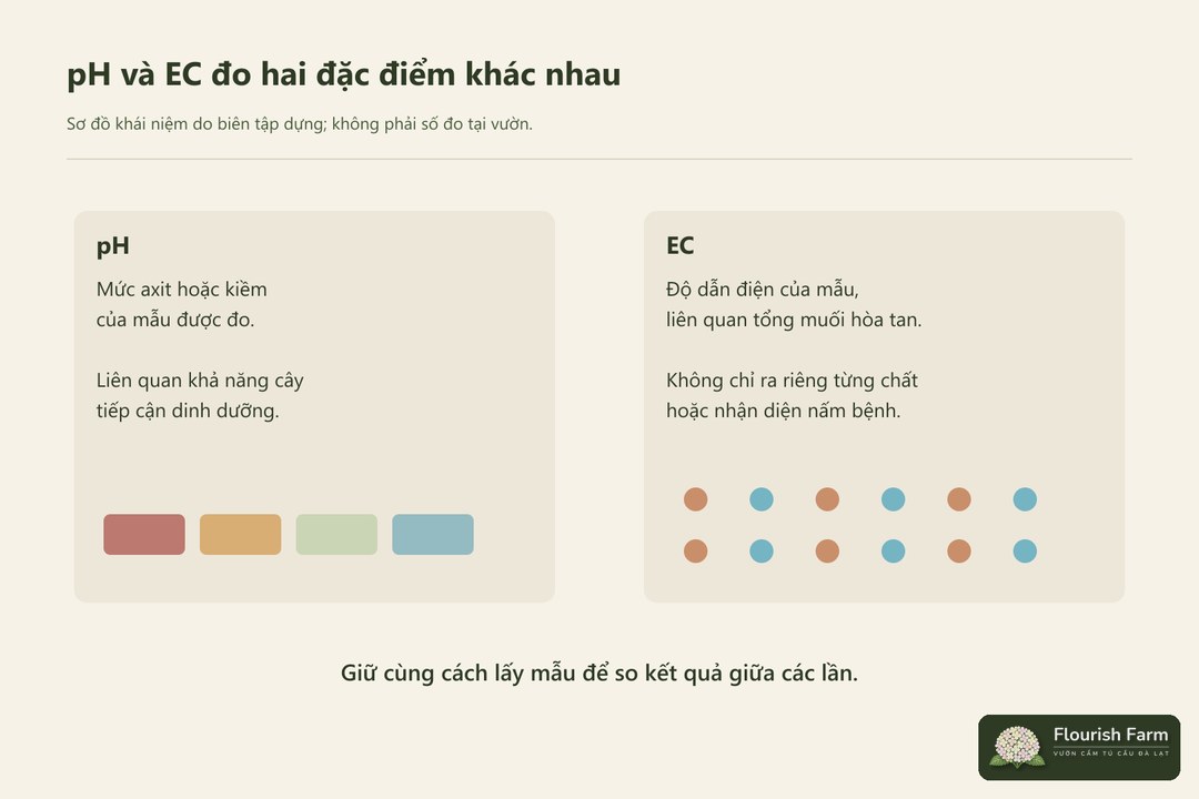 ph và ec trả lời những câu hỏi khác nhau về môi trường vùng rễ.