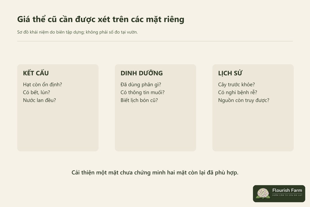 kết cấu, dinh dưỡng và lịch sử vệ sinh cần được xét riêng.