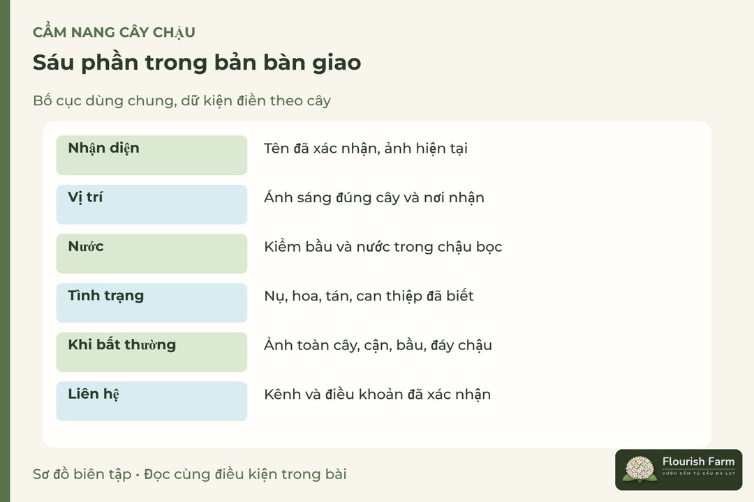 sáu phần trong bản bàn giao: Nhận diện, Vị trí, Nước, Tình trạng, Khi bất thường, Liên hệ