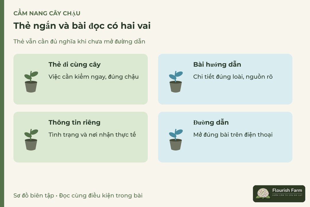 thẻ ngắn và bài đọc có hai vai: Thẻ đi cùng cây, Bài hướng dẫn, Thông tin riêng, Đường dẫn
