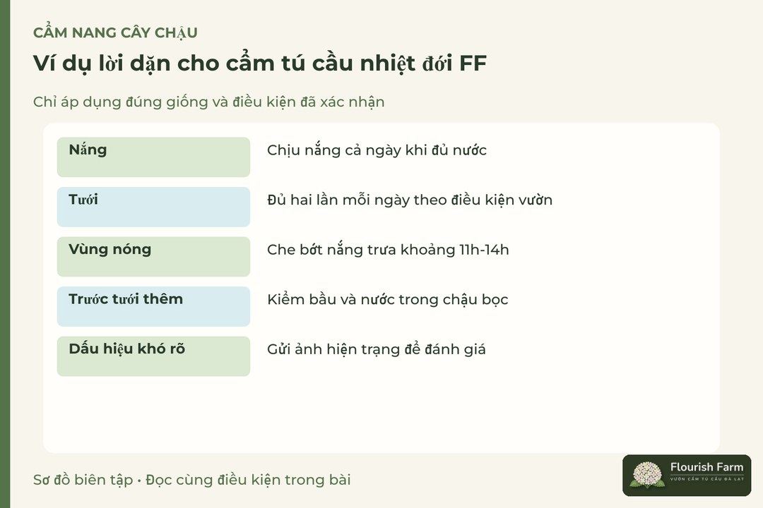 ví dụ lời dặn cho cẩm tú cầu nhiệt đới FF: Nắng, Tưới, Vùng nóng, Trước tưới thêm, Dấu hiệu khó rõ
