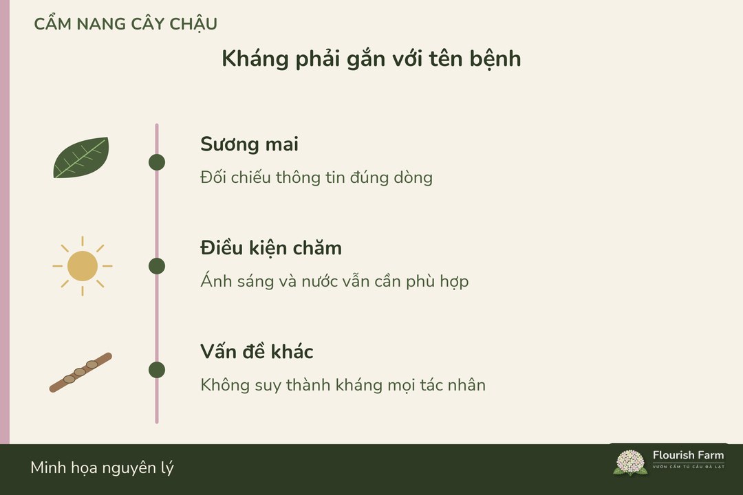 kháng một bệnh không thay thế điều kiện chăm và theo dõi khác