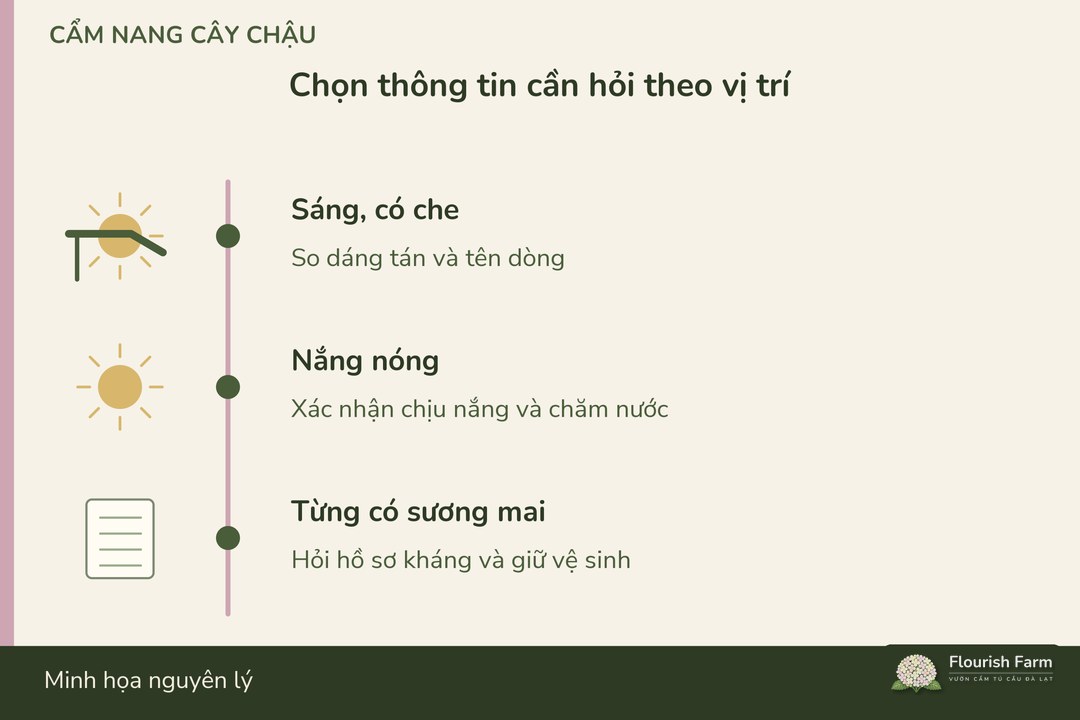 vị trí đặt và khả năng chăm quyết định thông tin cần hỏi khi chọn cây