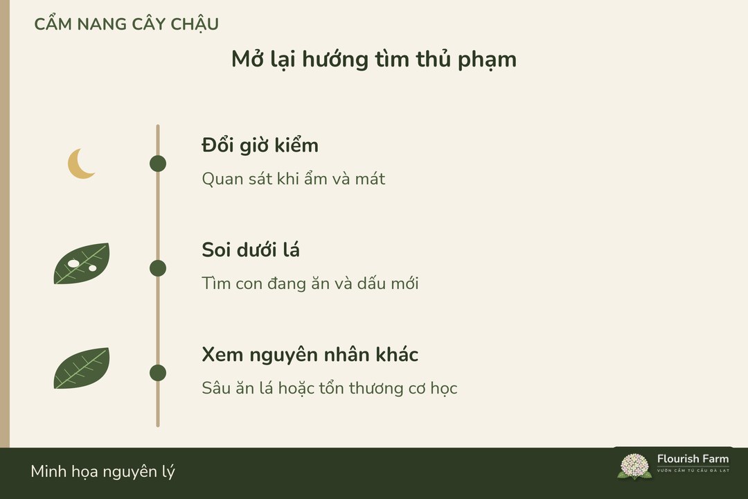 hại tiếp diễn nhưng chưa thấy ốc cần mở lại hướng tìm tác nhân