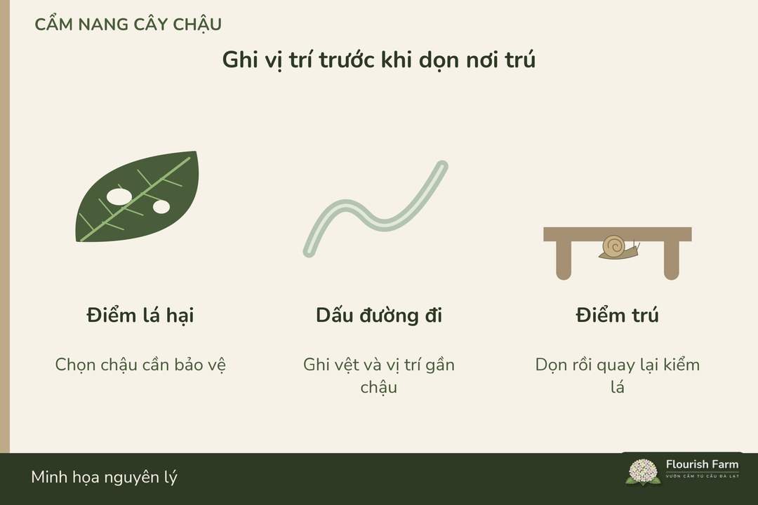 ghi vị trí hại và điểm trú để chọn nơi kiểm lại
