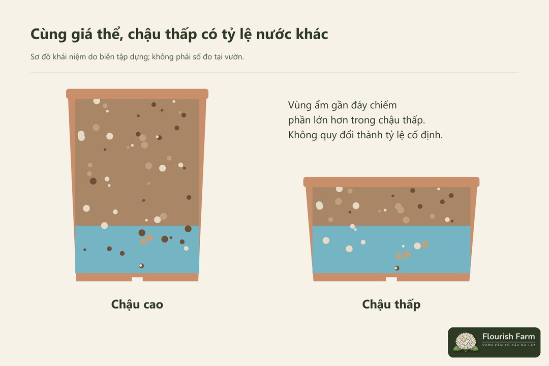 hình dạng chậu làm thay đổi tỷ lệ vùng chứa nước và vùng có khí.
