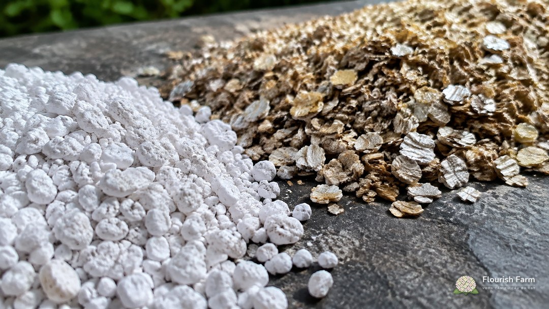 cận cấu trúc perlite trắng và vermiculite dạng vảy màu nâu vàng