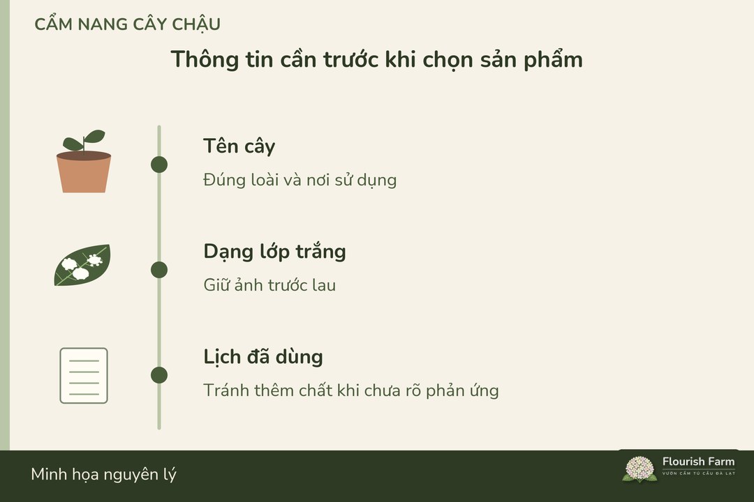 thông tin cây và lịch xử lý đi trước lựa chọn sản phẩm