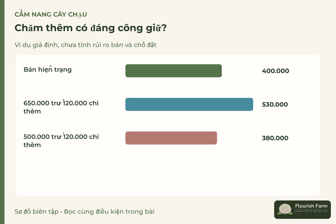 chăm thêm có đáng công giữ?: 400.000, 530.000, 380.000