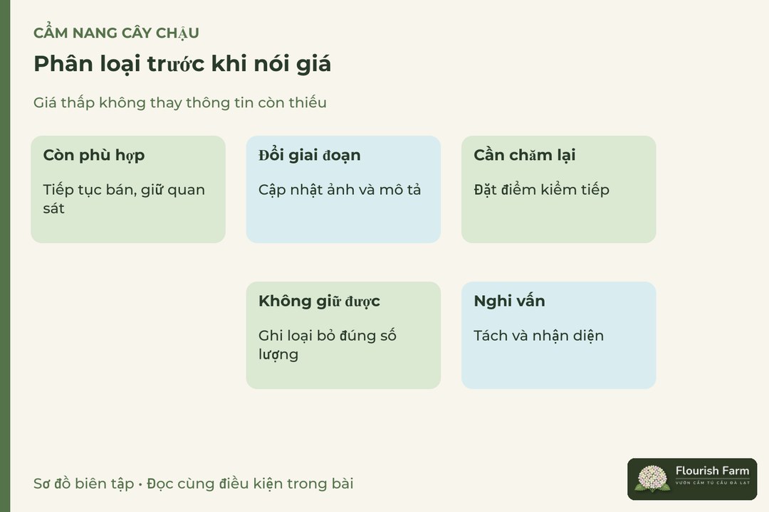 phân loại trước khi nói giá: Còn phù hợp, Đổi giai đoạn, Cần chăm lại, Nghi vấn, Không giữ được