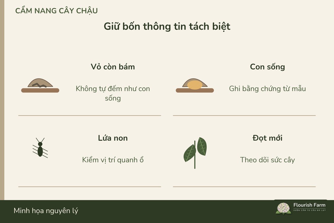 vỏ cũ, con sống và tăng trưởng là các trường theo dõi khác nhau