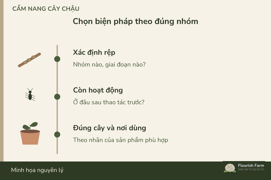 chọn biện pháp theo nhóm rệp và nơi cây đang được chăm