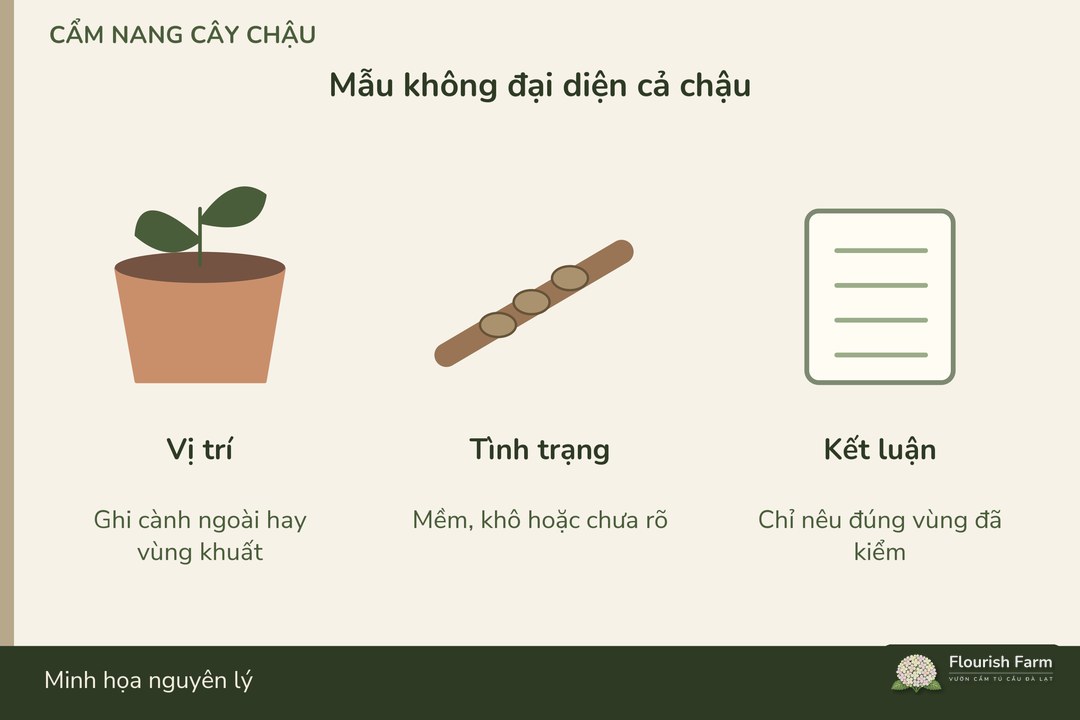 kết luận từ mẫu phải giữ cùng vị trí đã lấy mẫu