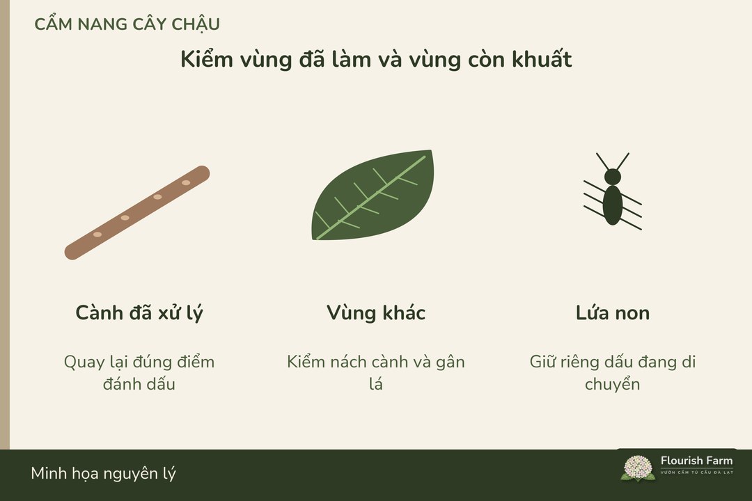 vùng đã lau và vùng khuất cần được kiểm riêng sau xử lý