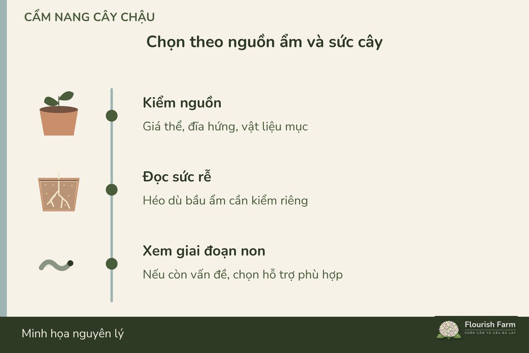lựa chọn xử lý phụ thuộc giá thể, sức rễ và giai đoạn ruồi
