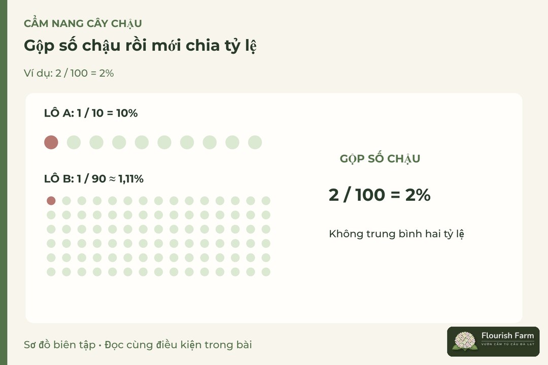 gộp số chậu rồi mới chia tỷ lệ: Lô A, Lô B, Gộp đúng, Tránh tính sai