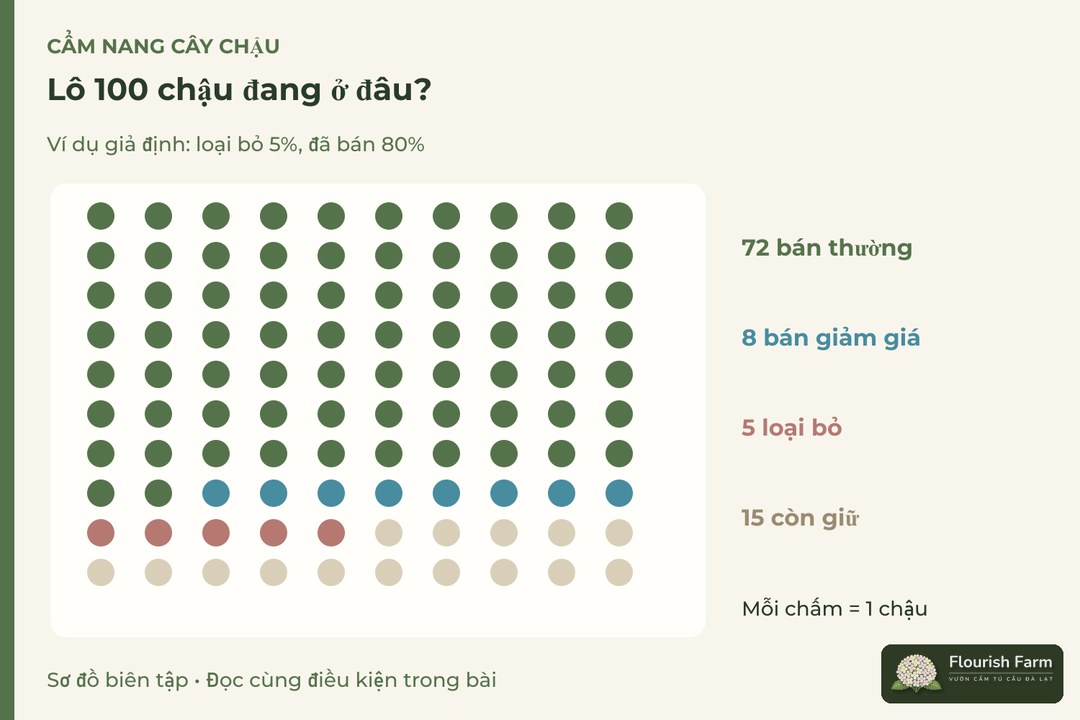 lô 100 chậu đang ở đâu?: 72, 8, 5, 15