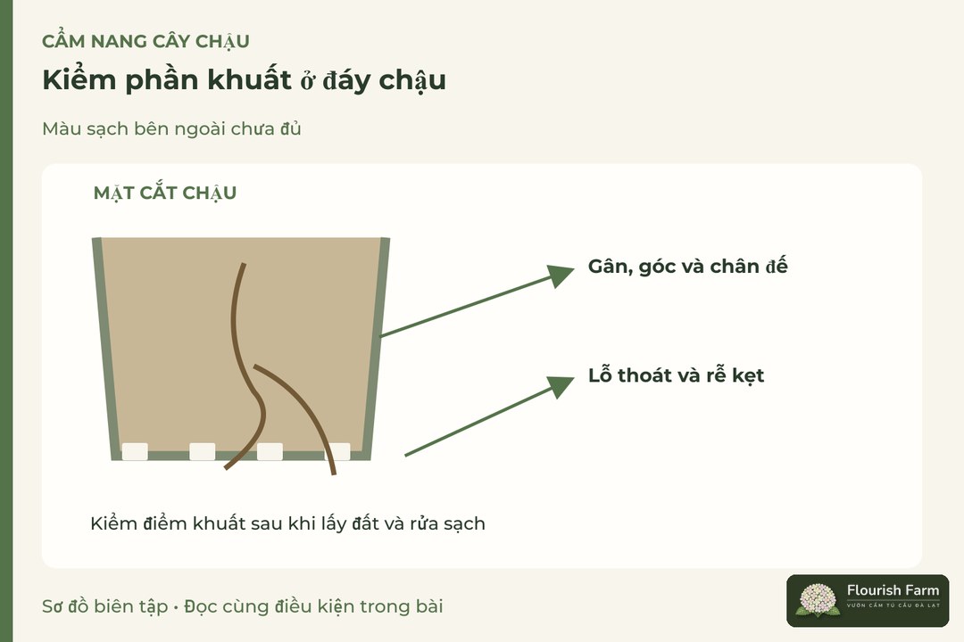 kiểm phần khuất ở đáy chậu: Đường gân đáy, Lỗ thoát nước