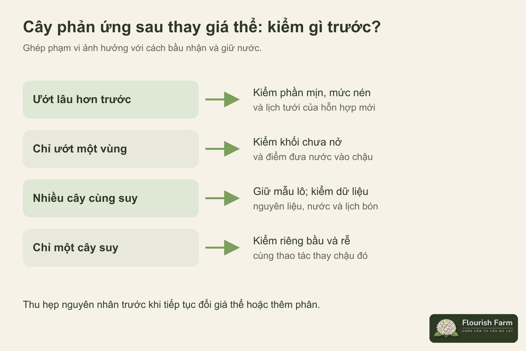 sơ đồ dấu hiệu sau thay giá thể nối với việc cần kiểm