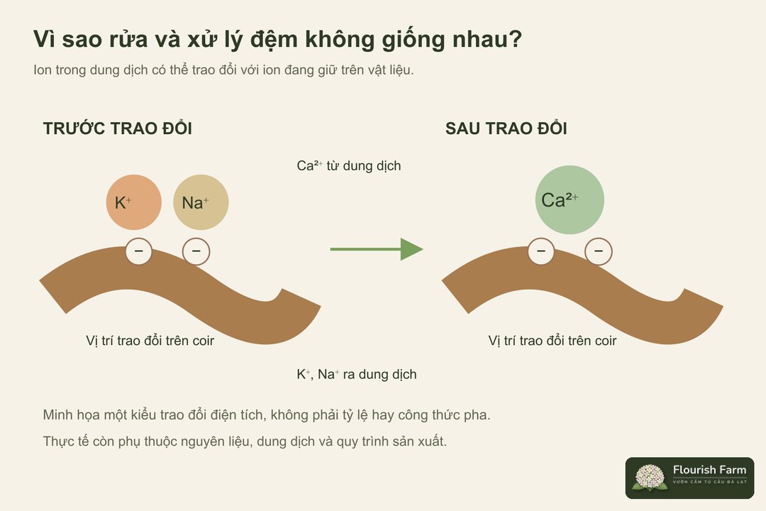 mô hình canxi trao đổi với kali và natri trên coir