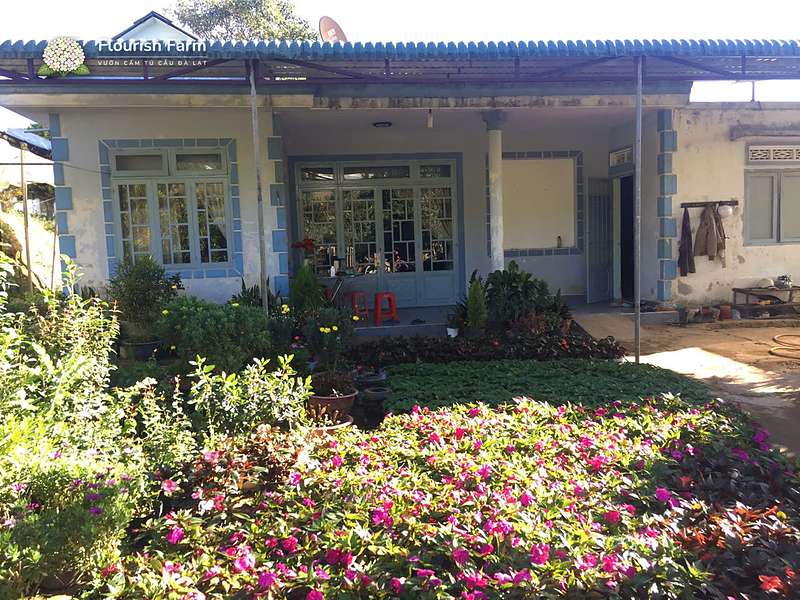 lô đầu nên đủ nhỏ để kiểm tra sức bán và khả năng chăm trước khi tăng số lượng